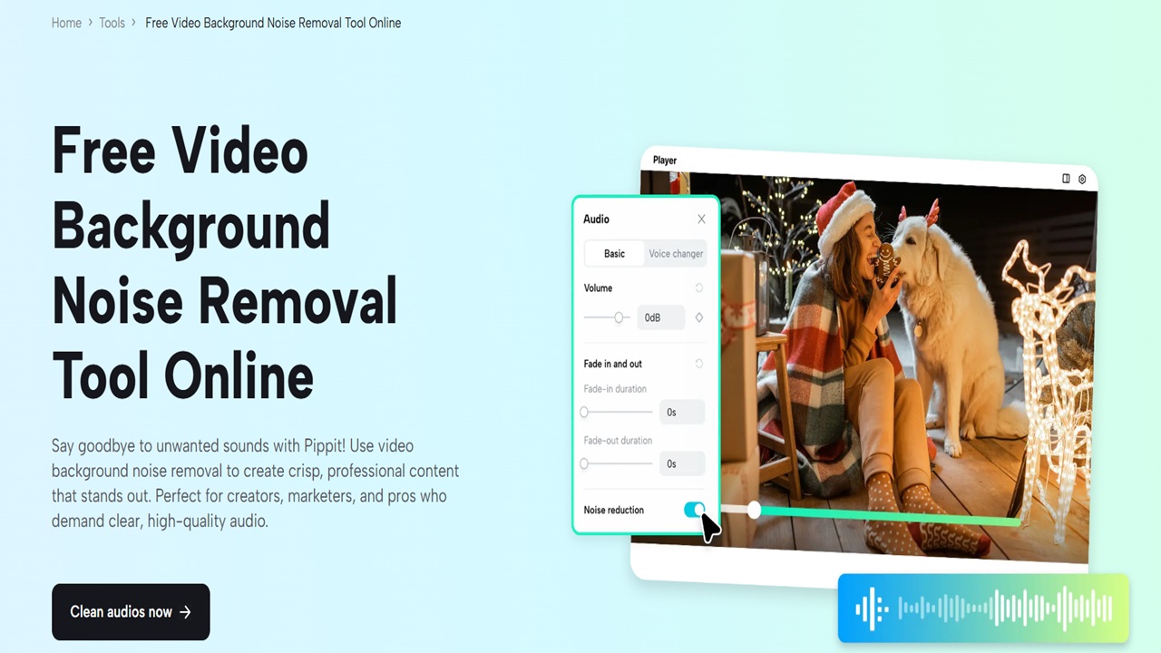 Characteristics of Pippit's Background Noise Removal Tool for Interview Video